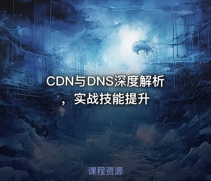 CDN与DNS深度解析，实战技能提升