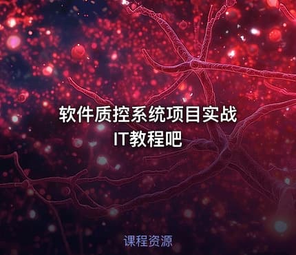 软件质控系统项目实战 IT教程吧