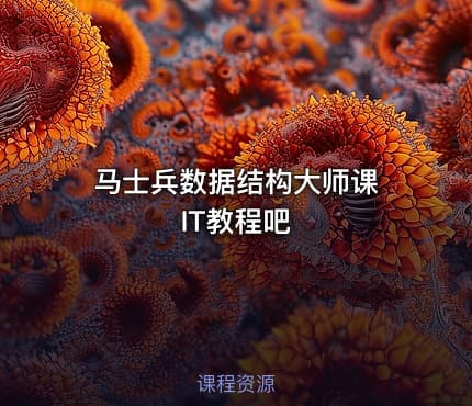 马士兵数据结构大师课 IT教程吧
