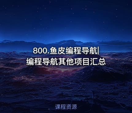 800.鱼皮编程导航|编程导航其他项目汇总
