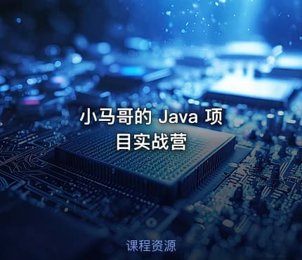 小马哥的 Java 项目实战营