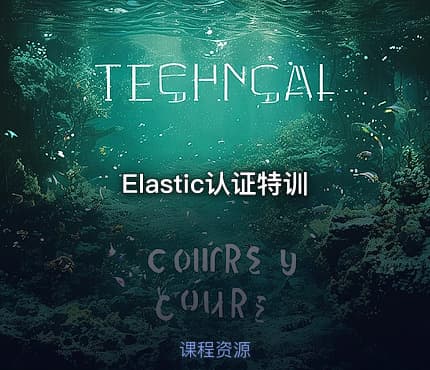 Elastic认证特训