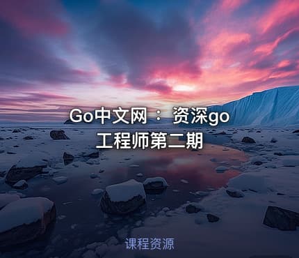 Go中文网 ：资深go工程师第二期