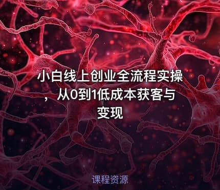 小白线上创业全流程实操，从0到1低成本获客与变现