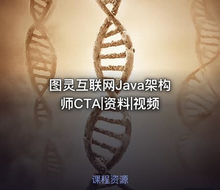 图灵互联网Java架构师CTA|资料|视频