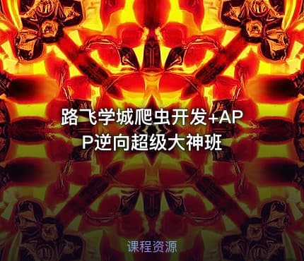 路飞学城爬虫开发+APP逆向超级大神班