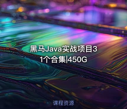 黑马Java实战项目31个合集|450G