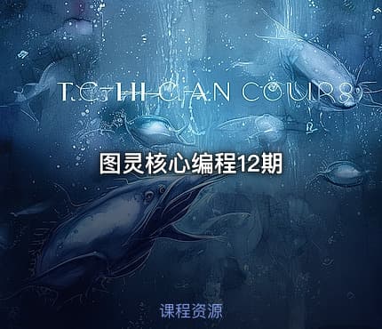 图灵核心编程12期