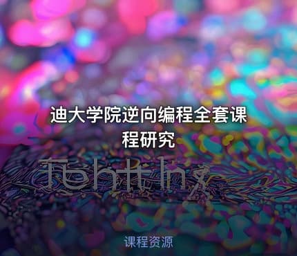 迪大学院逆向编程全套课程研究