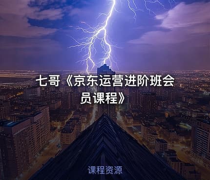 七哥《京东运营进阶班会员课程》