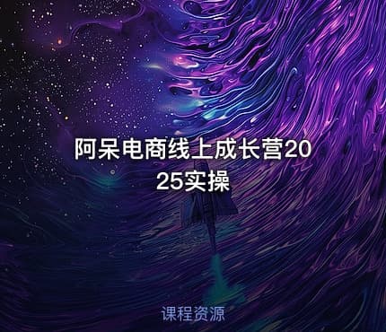 阿呆电商线上成长营2025实操
