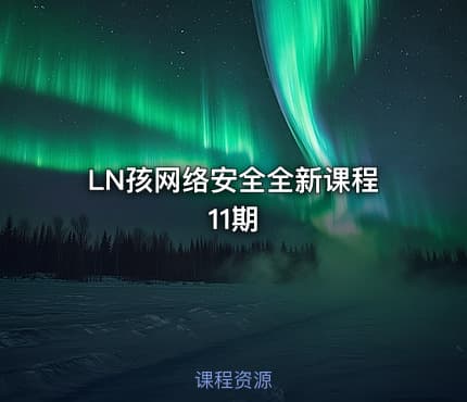 LN孩网络安全全新课程11期
