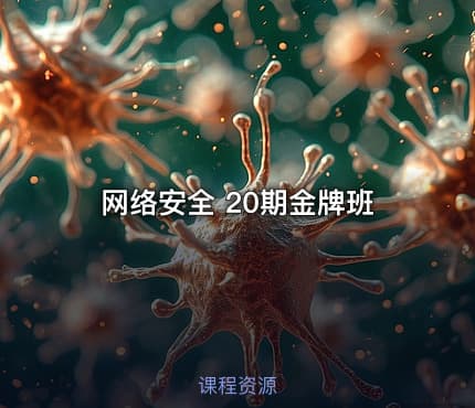 网络安全 20期金牌班
