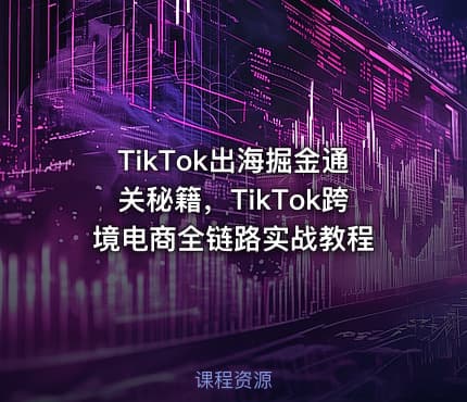 TikTok出海掘金通关秘籍，TikTok跨境电商全链路实战教程