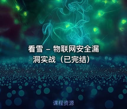 看雪 - 物联网安全漏洞实战（已完结）