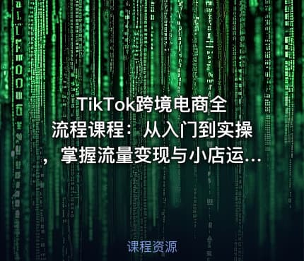 TikTok跨境电商全流程课程：从入门到实操，掌握流量变现与小店运营