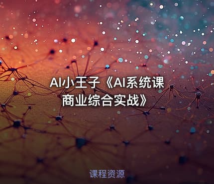 Al小王子《AI系统课商业综合实战》