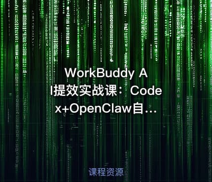 WorkBuddy AI提效实战课：Codex+OpenClaw自定义技能全教程【1.2GB】