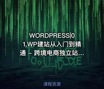 WORDPRESS|01.WP建站从入门到精通 - 跨境电商独立站建站教程60节课