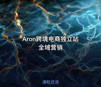 Aron跨境电商独立站全域营销