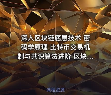 深入区块链底层技术 密码学原理 比特币交易机制与共识算法进阶 区块链技术精髓全攻略