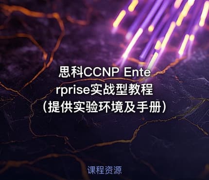 思科CCNP Enterprise实战型教程（提供实验环境及手册）