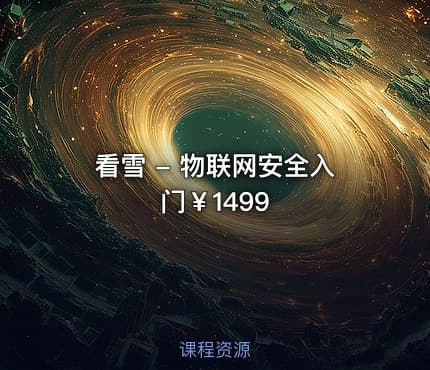 看雪 - 物联网安全入门￥1499