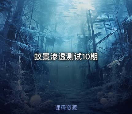 蚁景渗透测试10期
