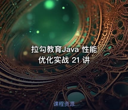 拉勾教育Java 性能优化实战 21 讲