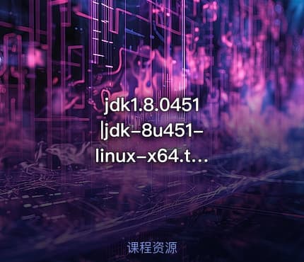 jdk1.8.0451|jdk-8u451-linux-x64.tar