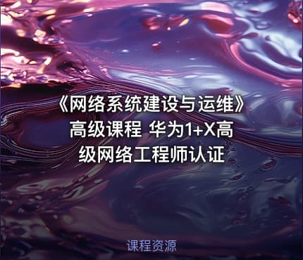 《网络系统建设与运维》高级课程 华为1+X高级网络工程师认证