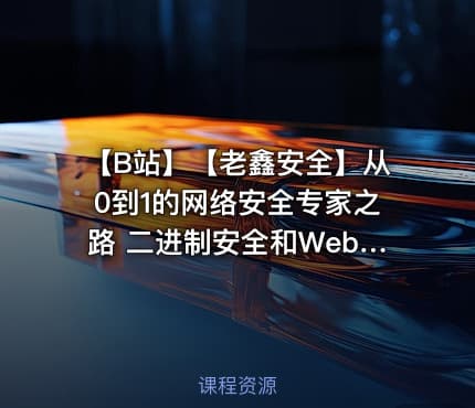 【B站】【老鑫安全】从0到1的网络安全专家之路 二进制安全和Web安全