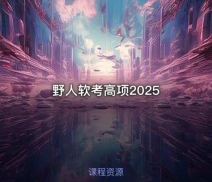 野人软考高项2025