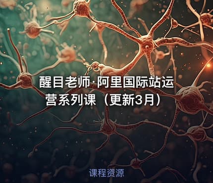 醒目老师·阿里国际站运营系列课（更新3月）