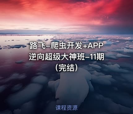 路飞-爬虫开发+APP逆向超级大神班-11期（完结）