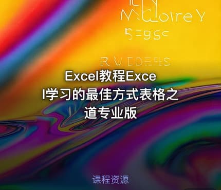 Excel教程Excel学习的最佳方式表格之道专业版