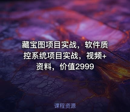 藏宝图项目实战，软件质控系统项目实战，视频+资料，价值2999