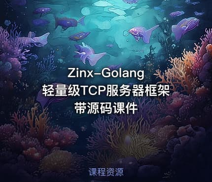 Zinx-Golang轻量级TCP服务器框架 带源码课件