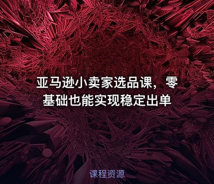 亚马逊小卖家选品课，零基础也能实现稳定出单