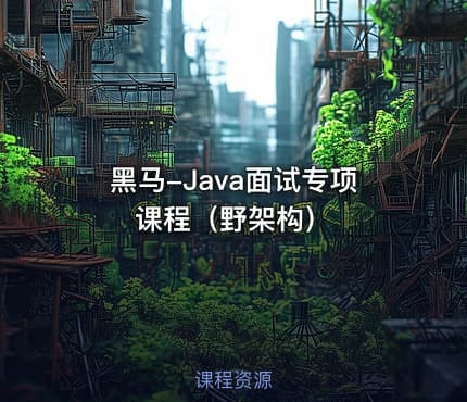 黑马-Java面试专项课程（野架构）