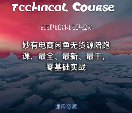妙有电商闲鱼无货源陪跑课，最全、最新、最干，零基础实战