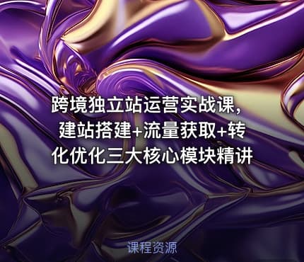 跨境独立站运营实战课，建站搭建+流量获取+转化优化三大核心模块精讲