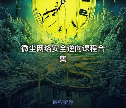 微尘网络安全逆向课程合集