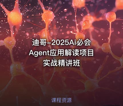 迪哥-2025Ai必会Agent应用解读项目实战精讲班
