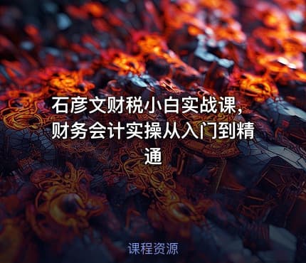 石彦文财税小白实战课，财务会计实操从入门到精通