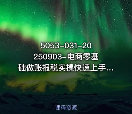5053-031-20250903-电商零基础做账报税实操快速上手从0-1学会套账建立做账准备企业税务申报