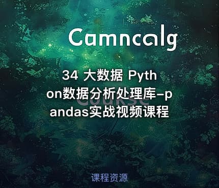 34 大数据 Python数据分析处理库-pandas实战视频课程