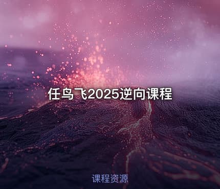 任鸟飞2025逆向课程