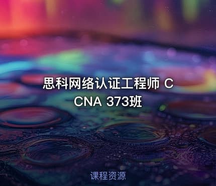 思科网络认证工程师 CCNA 373班