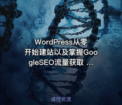 WordPress从零开始建站以及掌握GoogleSEO流量获取 【73节课】